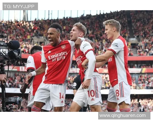 阿森纳的荷兰足球明星们如何在英超赛场上书写传奇篇章 阿森纳的荷兰足球明星们如何在英超赛场上书写传奇篇章