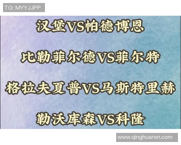 帕德伯恩对汉堡比赛结果解读0比2的含义与影响分析 帕德伯恩对汉堡比赛结果解读0比2的含义与影响分析