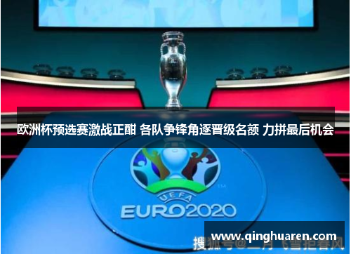 欧洲杯预选赛激战正酣 各队争锋角逐晋级名额 力拼最后机会