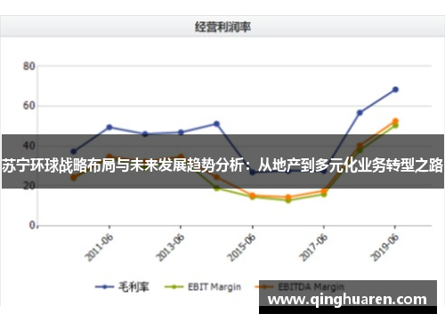 苏宁环球战略布局与未来发展趋势分析：从地产到多元化业务转型之路