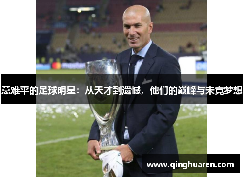 意难平的足球明星：从天才到遗憾，他们的巅峰与未竟梦想