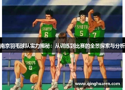 南京羽毛球队实力揭秘：从训练到比赛的全景探索与分析