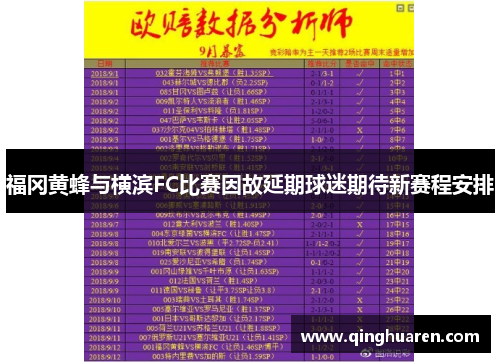 福冈黄蜂与横滨FC比赛因故延期球迷期待新赛程安排