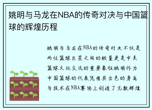 姚明与马龙在NBA的传奇对决与中国篮球的辉煌历程
